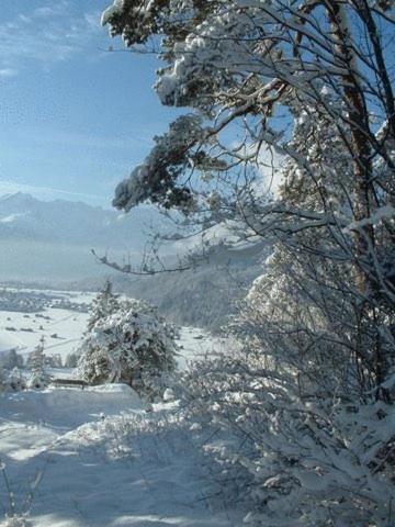 Landgasthof Kirchmayer Фархант Экстерьер фото