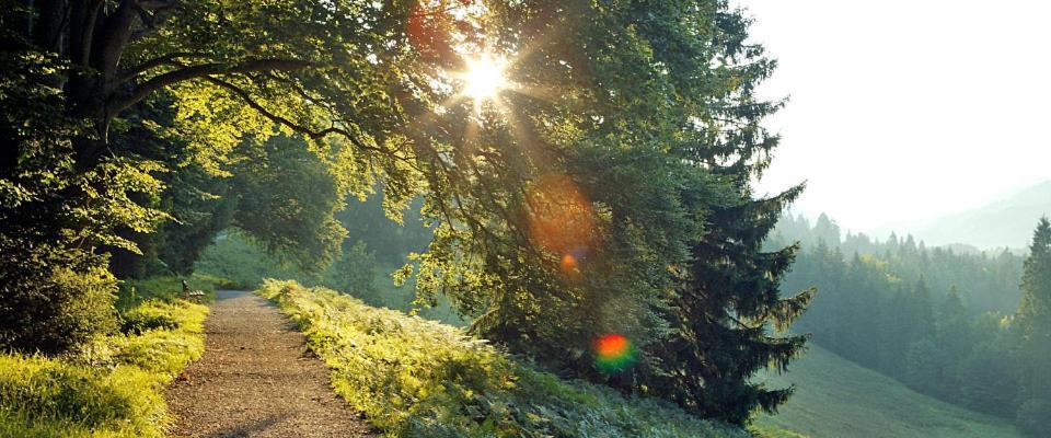 Landgasthof Kirchmayer Фархант Экстерьер фото