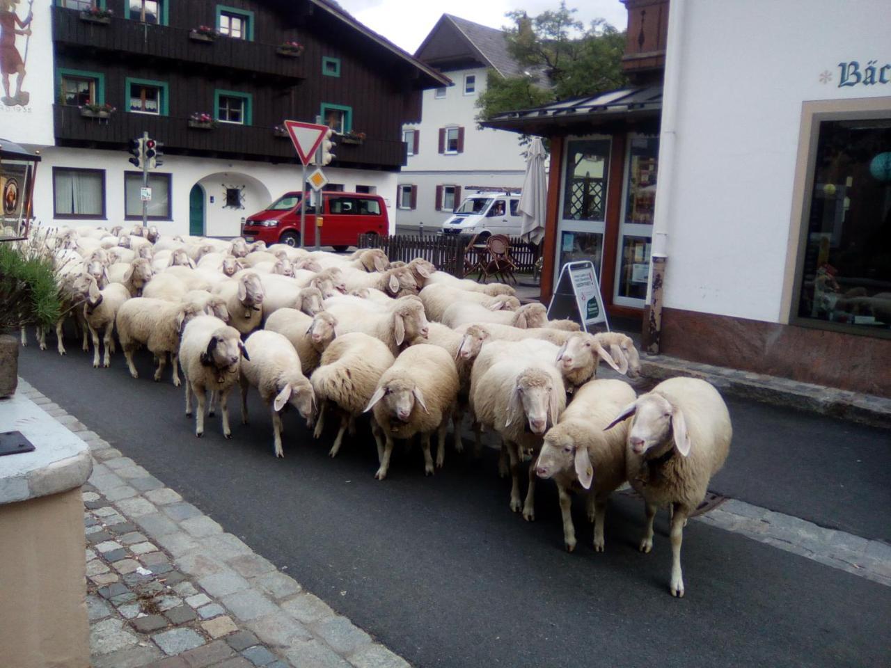 Landgasthof Kirchmayer Фархант Экстерьер фото
